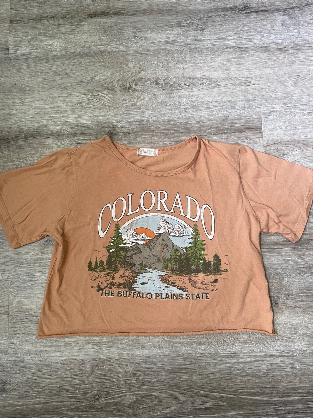 Altar’d State | Colorado cropped tee size medium